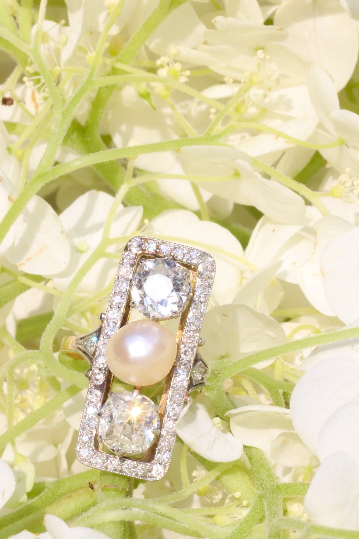 The legacy of love: bridging the gap between decor and romance  - Image 3