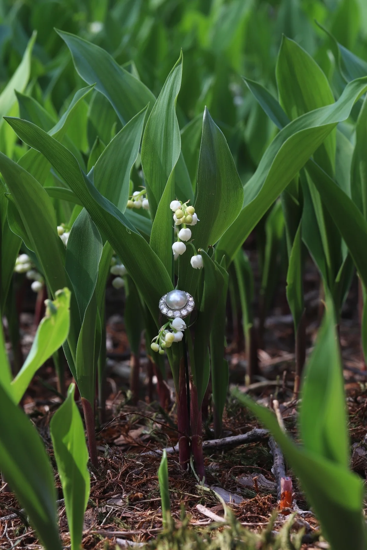 Jewel of the past: a diamond-set engagement ring from the 1930s  - Image 3
