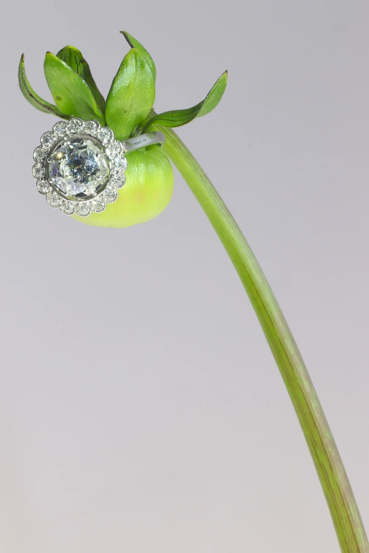 Liens eternal: the decorative diamond ring from the 1920s  - Image 4